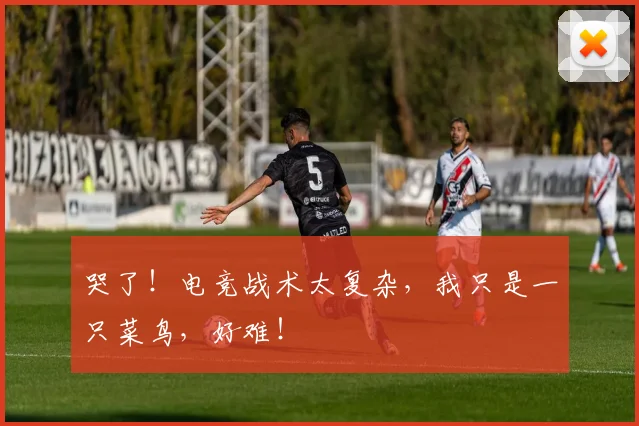 哭了！电竞战术太复杂，我只是一只菜鸟，好难！