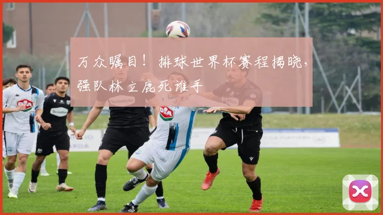 万众瞩目！排球世界杯赛程揭晓，强队林立鹿死谁手