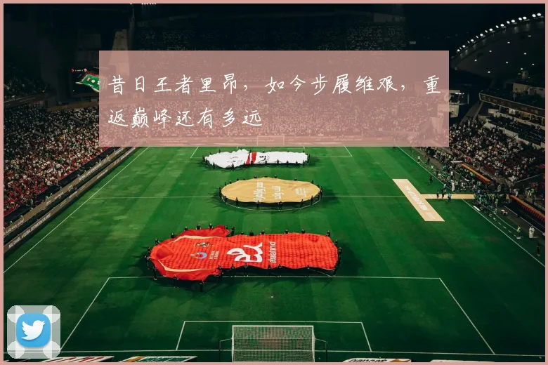 昔日王者里昂，如今步履维艰，重返巅峰还有多远