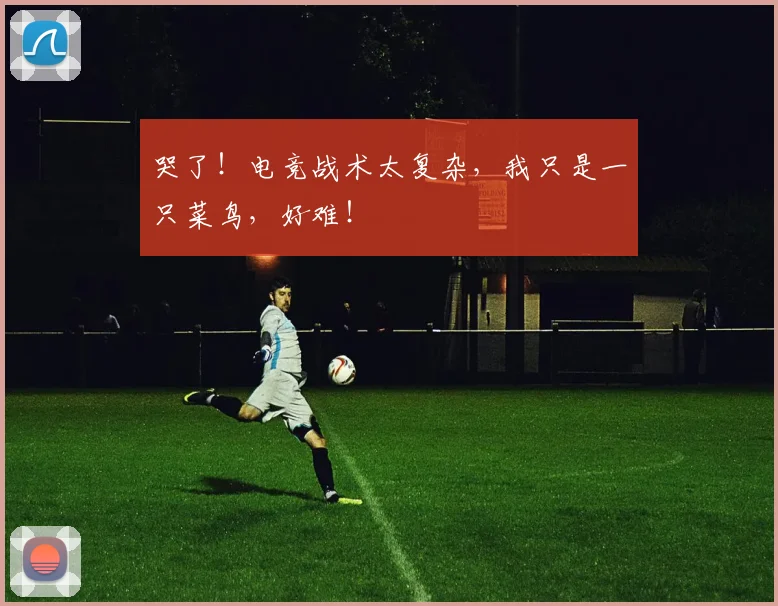 哭了！电竞战术太复杂，我只是一只菜鸟，好难！