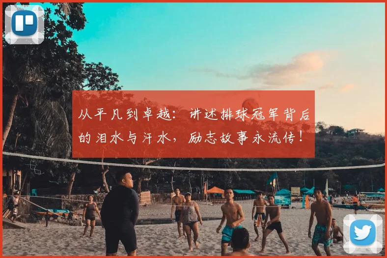 从平凡到卓越：讲述排球冠军背后的泪水与汗水，励志故事永流传！